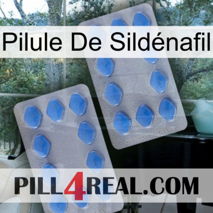 Pilule De Sildénafil 20
